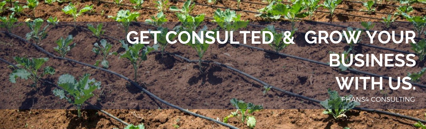 best drip irrigation consulting in india